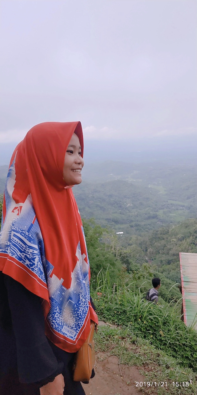 Annisaaulia